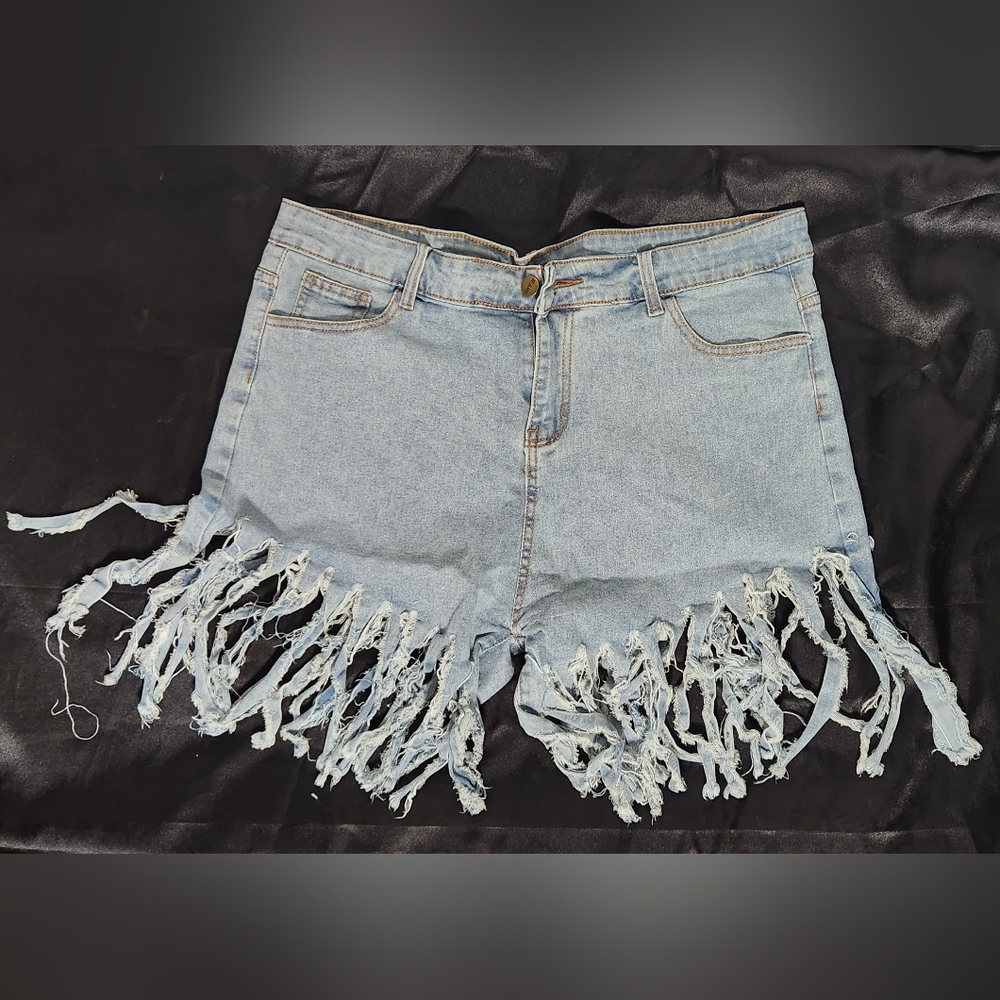 WOMENS fringe Jean shorts (Size 2X)